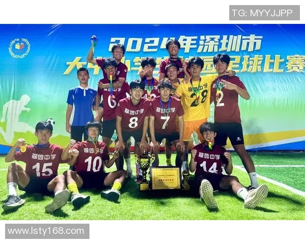 深圳足球队的转型之路:从低谷到巅峰的奋斗与追求